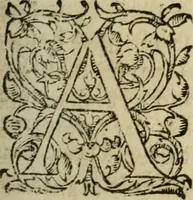 Picture 8 of 19 from Les Vies des hommes illustres, grecs et romains, comparées l'une avec l'autre (1567), leaf 264
