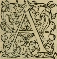 An illustration from Les Vies des hommes illustres, grecs et romains, comparées l'une avec l'autre (1567)
