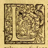 An illustration from Les voyages de la Nouuelle France occidentale, dicte Canada, faits par le sr de Champlain Xainctongeois, capitaine pour le roy en la marine du Ponant, & toutes les descouuertes qu'il a faites en ce païs depuis l'an 1603. iusques en l'an 1629. ... auec vn traitté des qualitez & conditions requises à vn bon & parfaict nauigateur pour cognoistre la diuersité des estimes qui se font en la nauigation ... ensemble vne carte generalle de la description dudit pays faicte en son meridien selon la declinaison de la guide aymant, & vn catechisme ou instruction traduicte du françois au langage des peuples sauuages de quelque contrée, auec ce qui s'est passé en ladite Nouuelle France en l'année 1631 (1632)