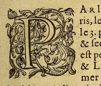 An illustration from Les voyages du sieur de Champlain Xaintongeois, capitaine ordinaire pour le roy, en la marine. : diuisez en deux liures. ou, iournal tres-fidele des obseruations faites és descouuertures de la Nouuelle France ... ensemble deux cartes geografiques ... à laquelle est adiousté le voyage du destroict qu'ont trouué les Anglois, au dessus de Labrador ... en l'an 1612. cerchans vn chemin par le Nord, pour aller à la Chine (1613)