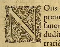 Picture 12 of 13 from Les voyages du sieur de Champlain Xaintongeois, capitaine ordinaire pour le roy, en la marine. : diuisez en deux liures. ou, iournal tres-fidele des obseruations faites és descouuertures de la Nouuelle France ... ensemble deux cartes geografiques ... à laquelle est adiousté le voyage du destroict qu'ont trouué les Anglois, au dessus de Labrador ... en l'an 1612. cerchans vn chemin par le Nord, pour aller à la Chine (1613), leaf 317