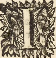 An illustration from Les voyages du sieur Le Maire aux iles Canaries, Cap-Verd, Senegal, et Gambie (1695)