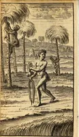 An illustration from Les voyages du sieur Le Maire aux iles Canaries, Cap-Verd, Senegal, et Gambie (1695)