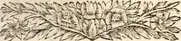 An illustration from Les voyages du sieur Le Maire aux iles Canaries, Cap-Verd, Senegal, et Gambie (1695)