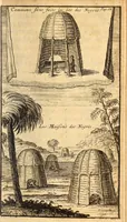 An illustration from Les voyages du sieur Le Maire aux iles Canaries, Cap-Verd, Senegal, et Gambie (1695)