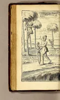 An illustration from Les voyages du sieur Le Maire aux isles Canaries, Cap-Verd, Senegal, et Gambie. : Sous monsieur Dancourt, directeur general de la Compagnie roïale d'Affrique (1695)