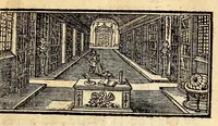 An illustration from Les voyages du sieur Le Maire aux isles Canaries, Cap-Verd, Senegal, et Gambie. : Sous monsieur Dancourt, directeur general de la Compagnie roïale d'Affrique (1695)