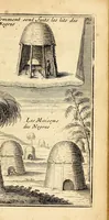 Picture 5 of 8 from Les voyages du sieur Le Maire aux isles Canaries, Cap-Verd, Senegal, et Gambie. : Sous monsieur Dancourt, directeur general de la Compagnie roïale d'Affrique (1695), leaf 79