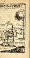 An illustration from Les voyages du sieur Le Maire aux isles Canaries, Cap-Verd, Senegal, et Gambie. : Sous monsieur Dancourt, directeur general de la Compagnie roïale d'Affrique (1695)