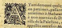 An illustration from Les voyages fameux du sieur Vincent Le Blanc Marseillois, qu'il a faits depuis l'aage de douze ans iusques à soixante, aux quatre parties du monde; a scauoir aux Indes Orientales & Occidentales ... (1649)