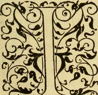 Picture 59 of 146 from Les vrais pourtraits et vies des hommes illustres grecz, latins et payens (1584), leaf 156