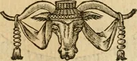 Picture 62 of 152 from Les vrais povrtraits des hommes illvstres en piete et doctrine : dv trauail desquels Diev s'est serui en ces derniers temps, pour remettre sus la vraye Religion en diuers pays de la chrestienté : auec les descriptions de leur vie & de leurs faits plus memorables : plvs, qvaranteqvatre emblemes chrestiens (1581), leaf 136