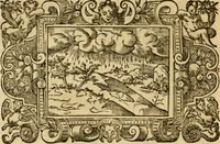 An illustration from Les vrais povrtraits des hommes illvstres en piete et doctrine : dv trauail desquels Diev s'est serui en ces derniers temps, pour remettre sus la vraye Religion en diuers pays de la chrestienté : auec les descriptions de leur vie & de leurs faits plus memorables : plvs, qvaranteqvatre emblemes chrestiens (1581)