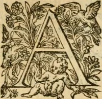 Picture 152 of 152 from Les vrais povrtraits des hommes illvstres en piete et doctrine : dv trauail desquels Diev s'est serui en ces derniers temps, pour remettre sus la vraye Religion en diuers pays de la chrestienté : auec les descriptions de leur vie & de leurs faits plus memorables : plvs, qvaranteqvatre emblemes chrestiens (1581), leaf 296