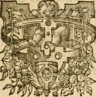 An illustration from Les vrais povrtraits des hommes illvstres en piete et doctrine : dv trauail desquels Diev s'est serui en ces derniers temps, pour remettre sus la vraye Religion en diuers pays de la chrestienté : auec les descriptions de leur vie & de leurs faits plus memorables : plvs, qvaranteqvatre emblemes chrestiens (1581)