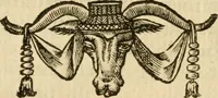 Picture 29 of 152 from Les vrais povrtraits des hommes illvstres en piete et doctrine : dv trauail desquels Diev s'est serui en ces derniers temps, pour remettre sus la vraye Religion en diuers pays de la chrestienté : auec les descriptions de leur vie & de leurs faits plus memorables : plvs, qvaranteqvatre emblemes chrestiens (1581), leaf 60