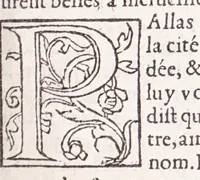 An illustration from Les XV. liures de la Metamorphose d'Ouide (poëte treselegãt) : contenans L'olympe des histoires poëtiques, traduictz de Latin en Francoys : le tout figuré de nouuelles figures & hystoires .. (1539)