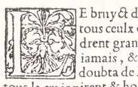 Picture 28 of 91 from Les XV. liures de la Metamorphose d'Ouide (poëte treselegãt) : contenans L'olympe des histoires poëtiques, traduictz de Latin en Francoys : le tout figuré de nouuelles figures & hystoires .. (1539), leaf 194