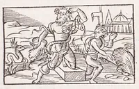 Picture 36 of 91 from Les XV. liures de la Metamorphose d'Ouide (poëte treselegãt) : contenans L'olympe des histoires poëtiques, traduictz de Latin en Francoys : le tout figuré de nouuelles figures & hystoires .. (1539), leaf 241