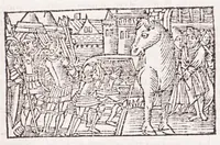 Picture 39 of 91 from Les XV. liures de la Metamorphose d'Ouide (poëte treselegãt) : contenans L'olympe des histoires poëtiques, traduictz de Latin en Francoys : le tout figuré de nouuelles figures & hystoires .. (1539), leaf 259
