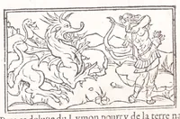 Picture 3 of 91 from Les XV. liures de la Metamorphose d'Ouide (poëte treselegãt) : contenans L'olympe des histoires poëtiques, traduictz de Latin en Francoys : le tout figuré de nouuelles figures & hystoires .. (1539), leaf 30