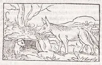 Picture 63 of 91 from Les XV. liures de la Metamorphose d'Ouide (poëte treselegãt) : contenans L'olympe des histoires poëtiques, traduictz de Latin en Francoys : le tout figuré de nouuelles figures & hystoires .. (1539), leaf 431