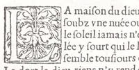 An illustration from Les XV. liures de la Metamorphose d'Ouide (poëte treselegãt) : contenans L'olympe des histoires poëtiques, traduictz de Latin en Francoys : le tout figuré de nouuelles figures & hystoires .. (1539)