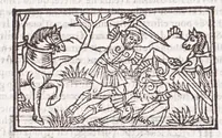 Picture 75 of 91 from Les XV. liures de la Metamorphose d'Ouide (poëte treselegãt) : contenans L'olympe des histoires poëtiques, traduictz de Latin en Francoys : le tout figuré de nouuelles figures & hystoires .. (1539), leaf 503