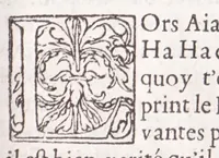 An illustration from Les XV. liures de la Metamorphose d'Ouide (poëte treselegãt) : contenans L'olympe des histoires poëtiques, traduictz de Latin en Francoys : le tout figuré de nouuelles figures & hystoires .. (1539)