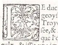 An illustration from Les XV. liures de la Metamorphose d'Ouide (poëte treselegãt) : contenans L'olympe des histoires poëtiques, traduictz de Latin en Francoys : le tout figuré de nouuelles figures & hystoires .. (1539)