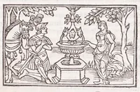 Picture 91 of 91 from Les XV. liures de la Metamorphose d'Ouide (poëte treselegãt) : contenans L'olympe des histoires poëtiques, traduictz de Latin en Francoys : le tout figuré de nouuelles figures & hystoires .. (1539), leaf 601