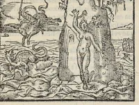 An illustration from Les XV. livres de la Metamorphose d'Ovide, poete treselegant : contenants l'Olympe des hystoires poetiqves, traduitz de latin en françois (1574)