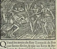 Picture 7 of 26 from Les XV. livres de la Metamorphose d'Ovide, poete treselegant : contenants l'Olympe des hystoires poetiqves, traduitz de latin en françois (1574), leaf 249
