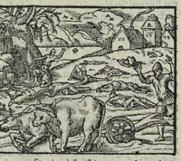 Picture 9 of 26 from Les XV. livres de la Metamorphose d'Ovide, poete treselegant : contenants l'Olympe des hystoires poetiqves, traduitz de latin en françois (1574), leaf 305
