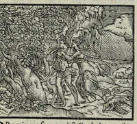 An illustration from Les XV. livres de la Metamorphose d'Ovide, poete treselegant : contenants l'Olympe des hystoires poetiqves, traduitz de latin en françois (1574)