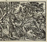 Picture 11 of 26 from Les XV. livres de la Metamorphose d'Ovide, poete treselegant : contenants l'Olympe des hystoires poetiqves, traduitz de latin en françois (1574), leaf 371
