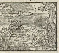An illustration from Les XV. livres de la Metamorphose d'Ovide, poete treselegant : contenants l'Olympe des hystoires poetiqves, traduitz de latin en françois (1574)