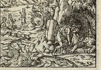 An illustration from Les XV. livres de la Metamorphose d'Ovide, poete treselegant : contenants l'Olympe des hystoires poetiqves, traduitz de latin en françois (1574)