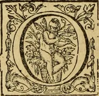 An illustration from Le tableav des riches inventions couuertes de voile des feintes amoureuses, qui sont representees dans le Songe de Poliphile, desvoilees des ombres d Songe & subtilement exposees par Beroalde (1600)