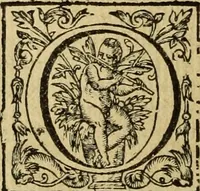 An illustration from Le tableav des riches inventions couuertes de voile des feintes amoureuses, qui sont representees dans le Songe de Poliphile, desvoilees des ombres d Songe & subtilement exposees par Beroalde (1600)