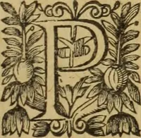 An illustration from Le tableav des riches inventions couuertes de voile des feintes amoureuses, qui sont representees dans le Songe de Poliphile, desvoilees des ombres d Songe & subtilement exposees par Beroalde (1600)