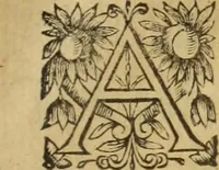 An illustration from Le tableav des riches inventions couuertes de voile des feintes amoureuses, qui sont representees dans le Songe de Poliphile, desvoilees des ombres d Songe & subtilement exposees par Beroalde (1600)