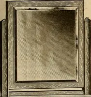 An illustration from Let Hartman feather your nest. (1916)