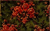 Picture 109 of 1330 from Let Hartman feather your nest. (1916), leaf 48