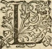 An illustration from Le theatre de l'art de charpentier : enrichi de diuerses figures, auec l'interpretation dicelles faict & dresse (1627)