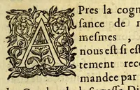 An illustration from Le theatre de l'univers, ou L'abbrege [sic] du monde, : contenant les descriptions particulieres de tous les estats, empires, monarchies, republiques & principautez du monde. Auec les proprietez de chaque pays, la succession & les forces des souuerains, leur gouuernement ancien & moderne. La religion, les moeurs & les richesses de leurs subiects, les limites de leurs terres, la situation des villes, le cours des fleuues, les ports de mer, & autres particularitez necessaires à la cognoissance de l'histoire & de la cosmographie. Le tout suiuant les observations des meilleurs autheurs, tant des autres siecles, que de nostre temps. Auec les figures des souuerains, tirés au naturel (1646)