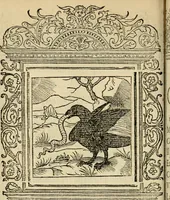 An illustration from Le theatre des bons engins : auquel sont contenuz cent emblemes moraulx (1545)