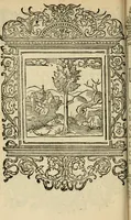 An illustration from Le theatre des bons engins : auquel sont contenuz cent emblemes moraulx (1545)