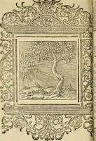 An illustration from Le theatre des bons engins : auquel sont contenuz cent emblemes moraulx (1545)