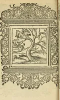 An illustration from Le theatre des bons engins : auquel sont contenuz cent emblemes moraulx (1545)